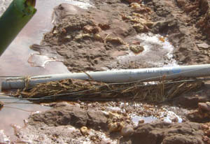 金沙js800000(集团)有限公司官网