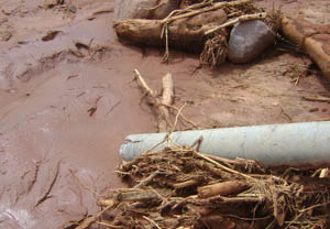 金沙js800000(集团)有限公司官网