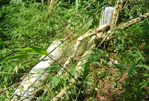 金沙js800000(集团)有限公司官网