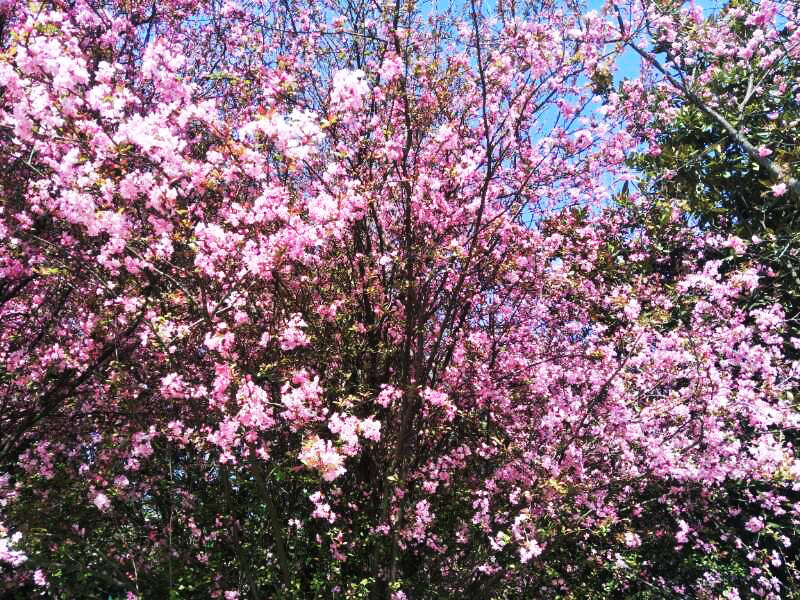 金沙js800000(集团)有限公司官网