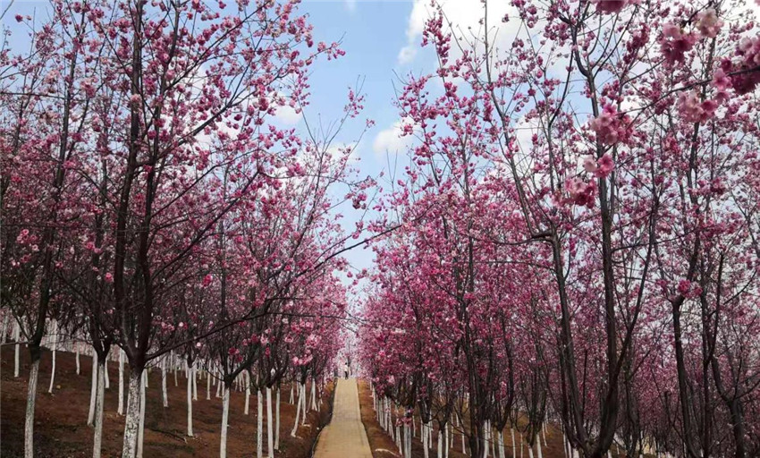 金沙js800000(集团)有限公司官网